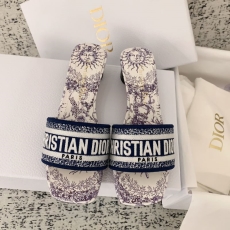 Christian Dior Slippers